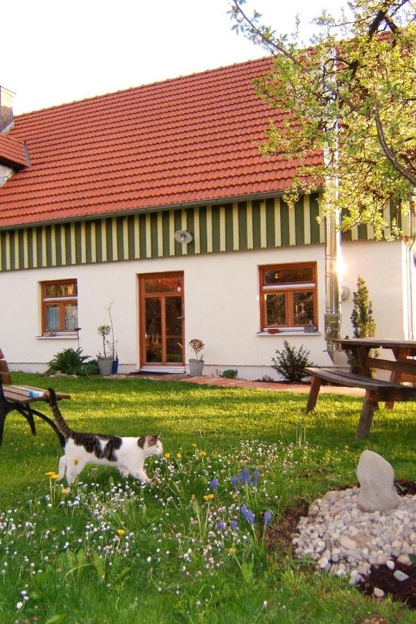Bio Pension Kirschenfee Sontheim  Exterior foto